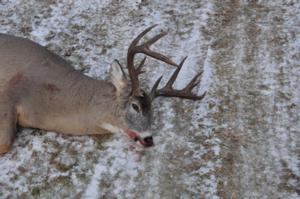 Great hunting year